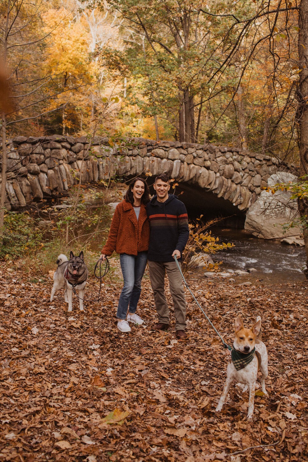 couple walks dogs at fall forest engagement session