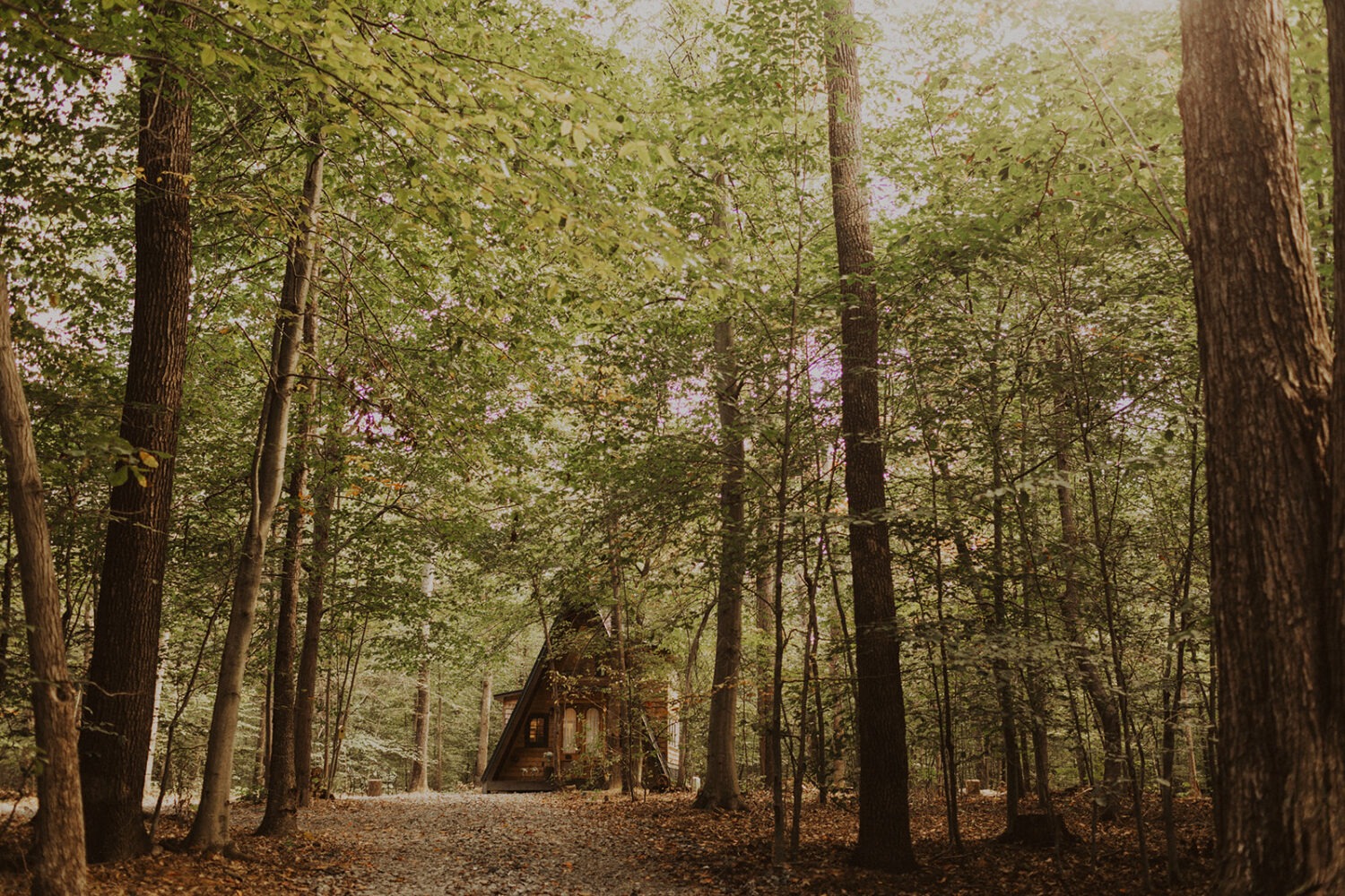 a-frame cabin wedding venue in the woods