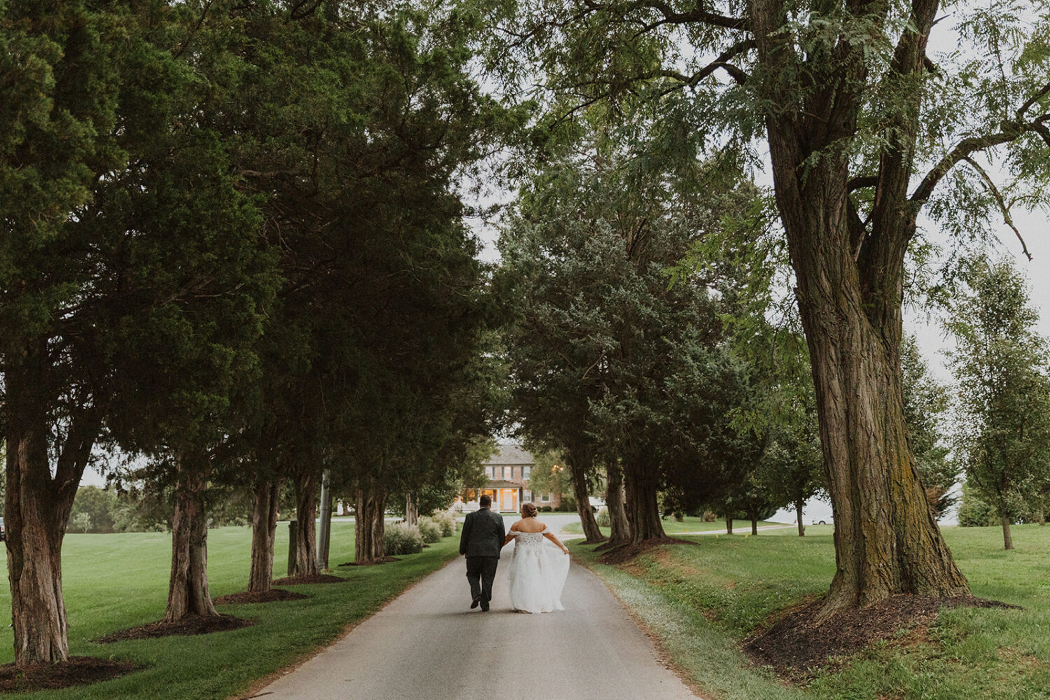 couple walks holding hands in tree grove at Walker's Overlook
