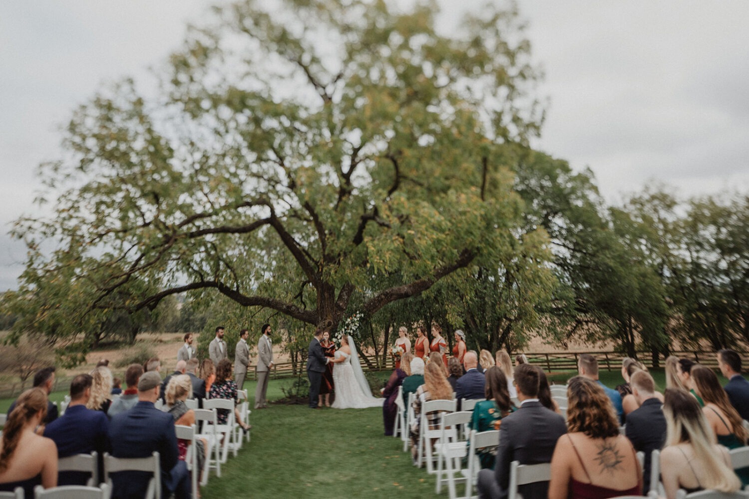 couple exchanges vows under tree at Walker's Overlook farm wedding venue
