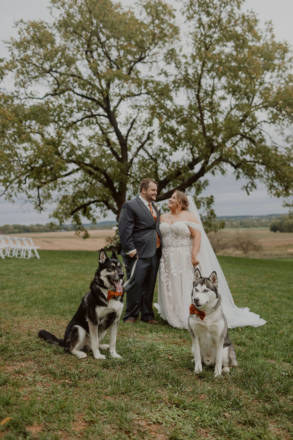 couple walks dogs at Walker's Overlook farm wedding venue