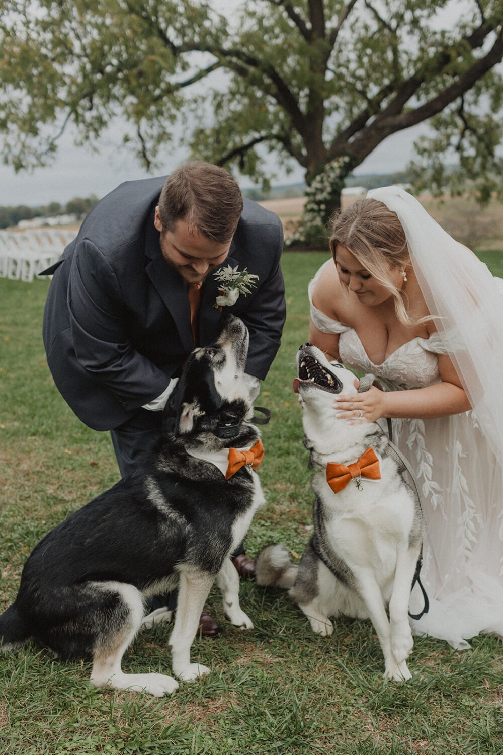 couple embraces dogs with bow ties at Walker's Overlook farm wedding venue