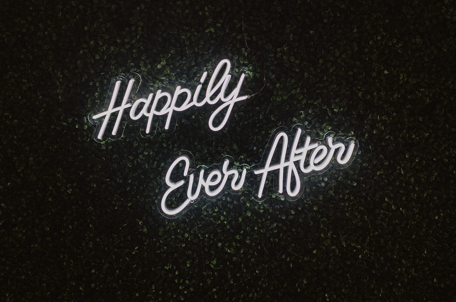 happily ever after neon sign