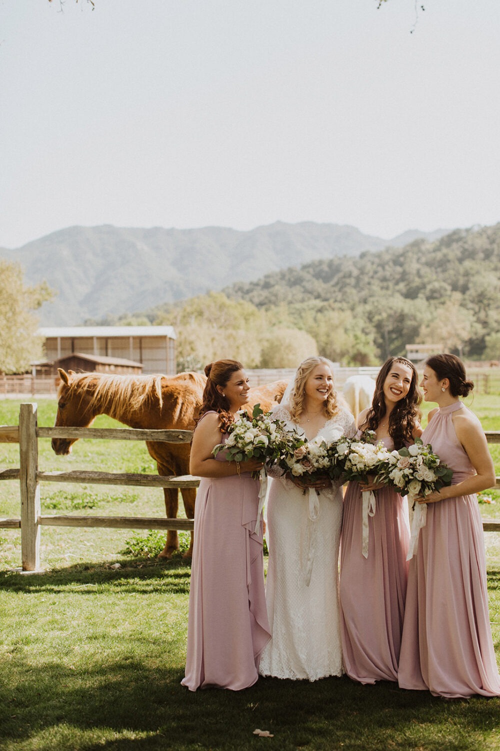 bride laughs with bridesmaids in front of horses