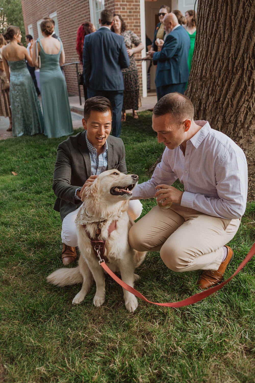 guests pet dog at wedding reception as example of 2024 wedding trends