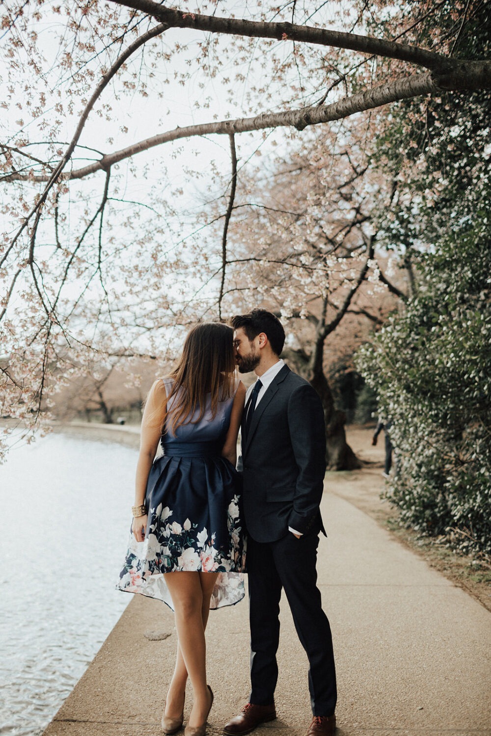 couple kisses under cherry blossoms at DC spring engagement photos
