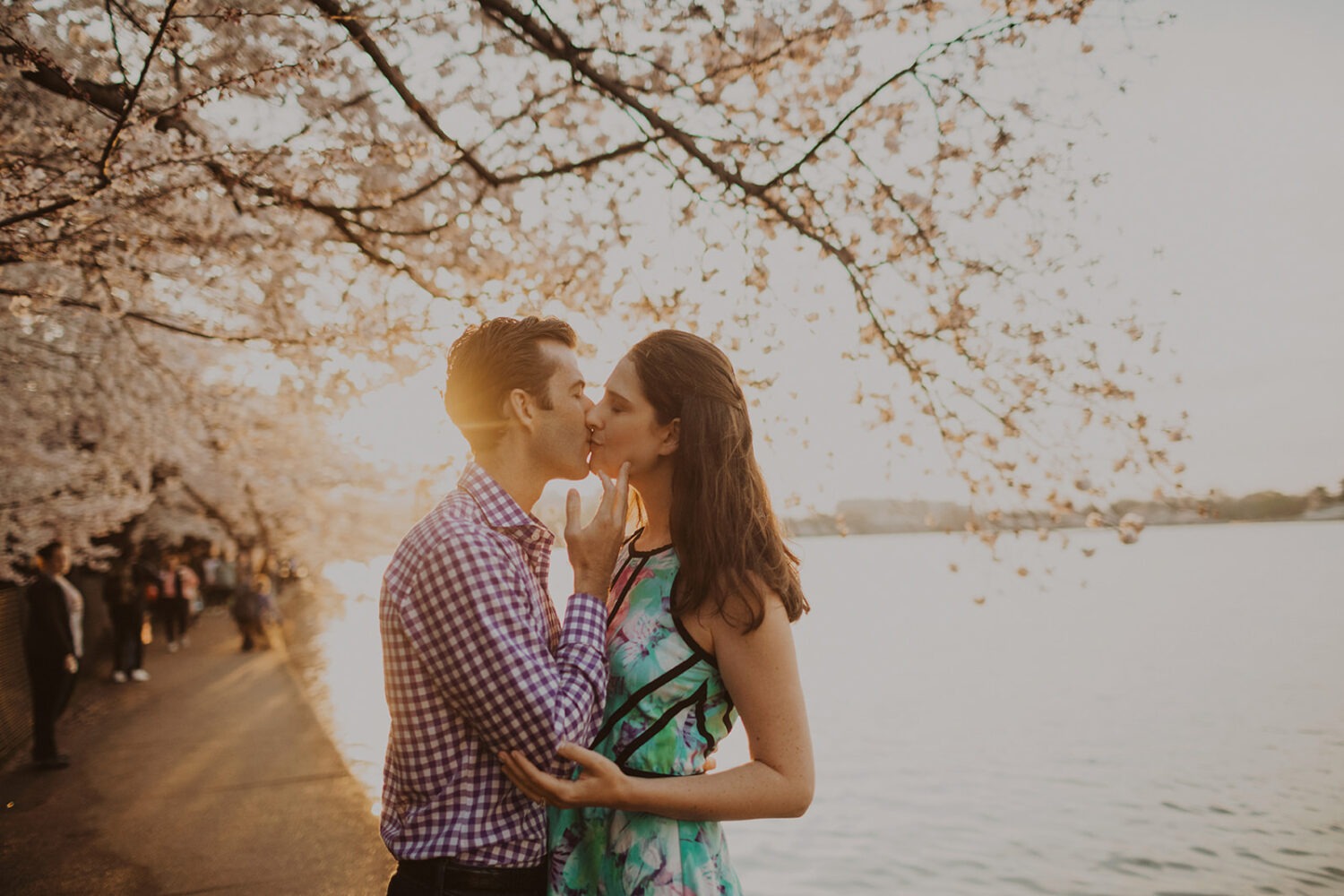 couple kisses under cherry blossoms at DC engagement session 