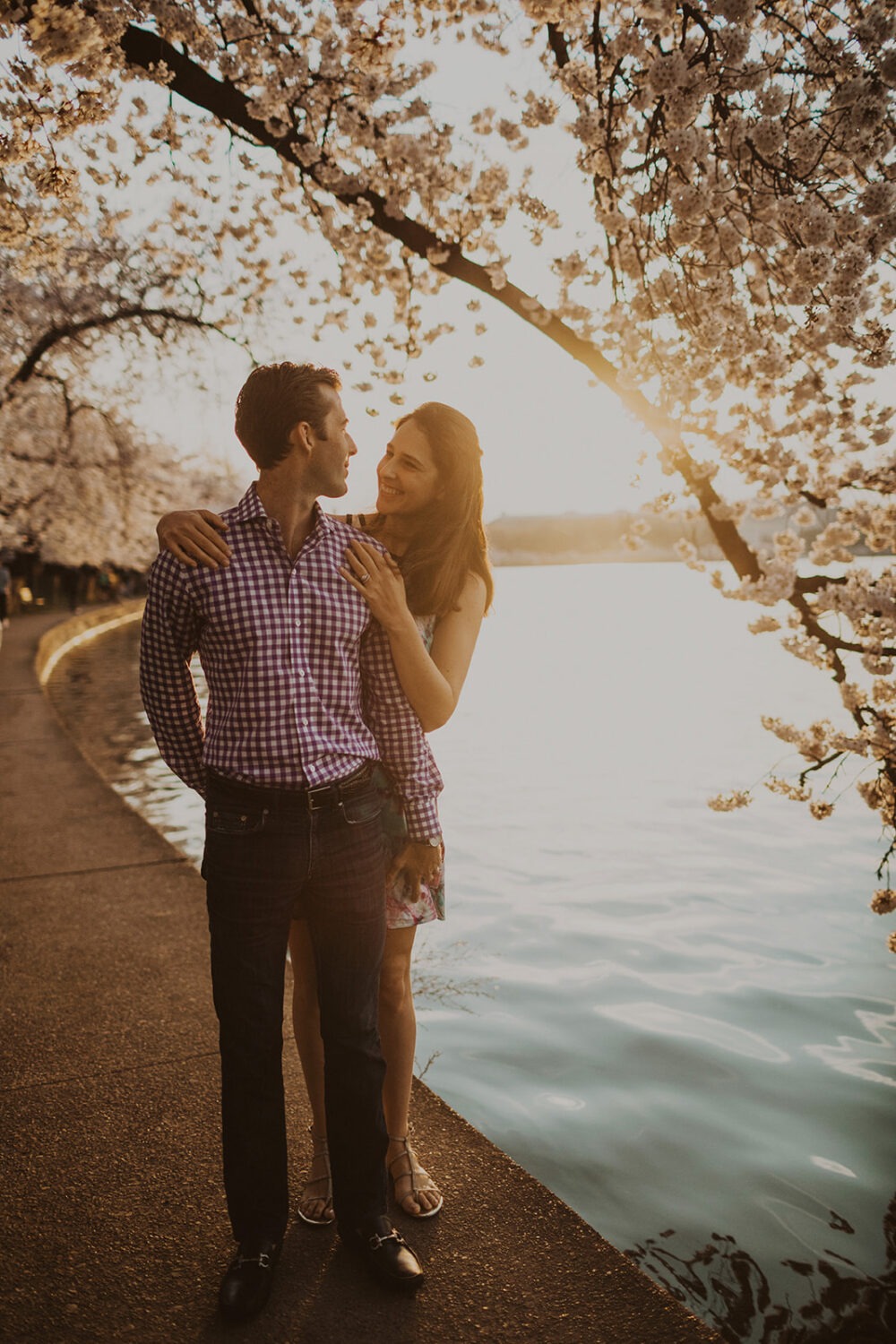 couple embraces under cherry blossoms at washington DC engagement session 