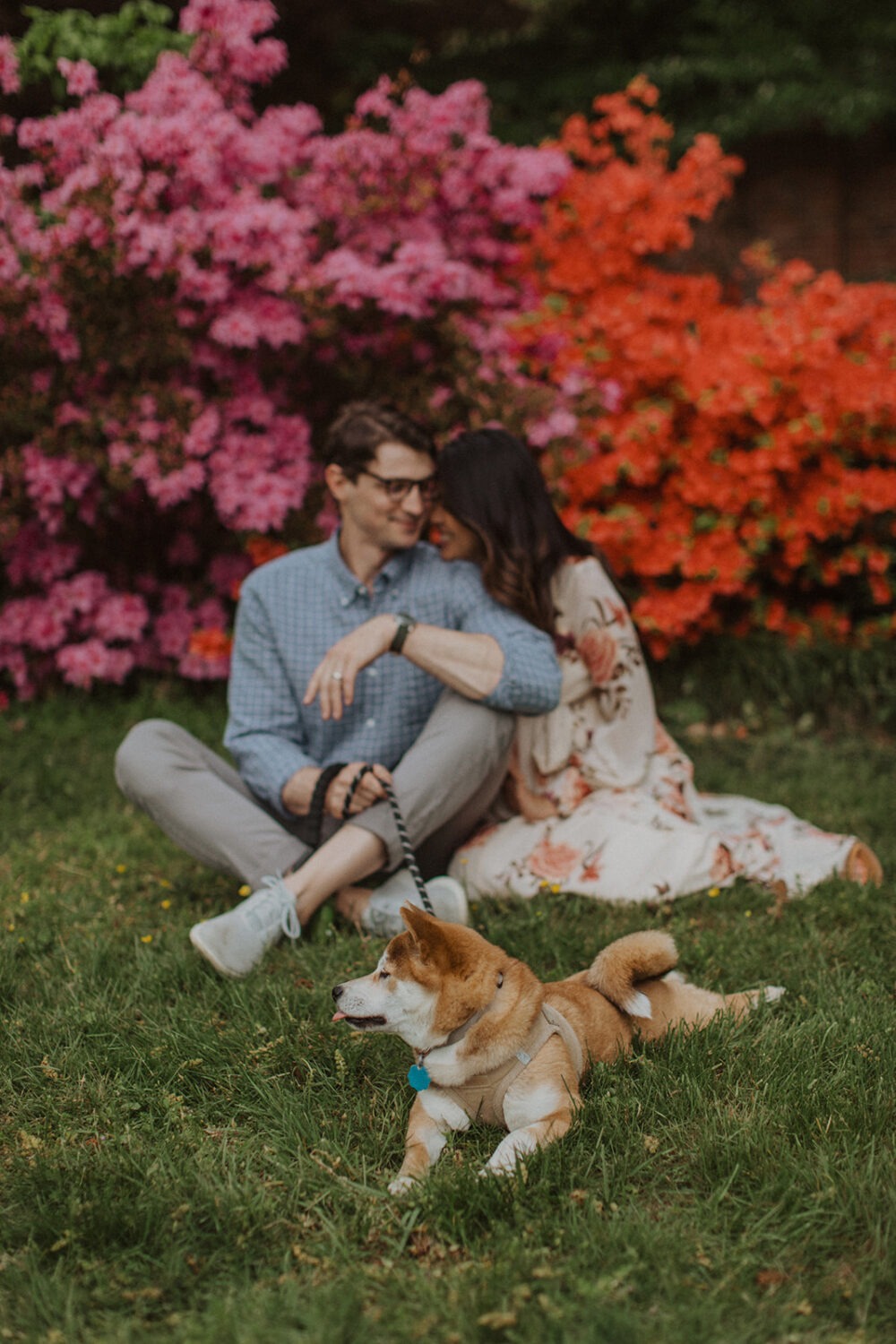 couple sits with dog for spring engagement photos at National Arboretum 