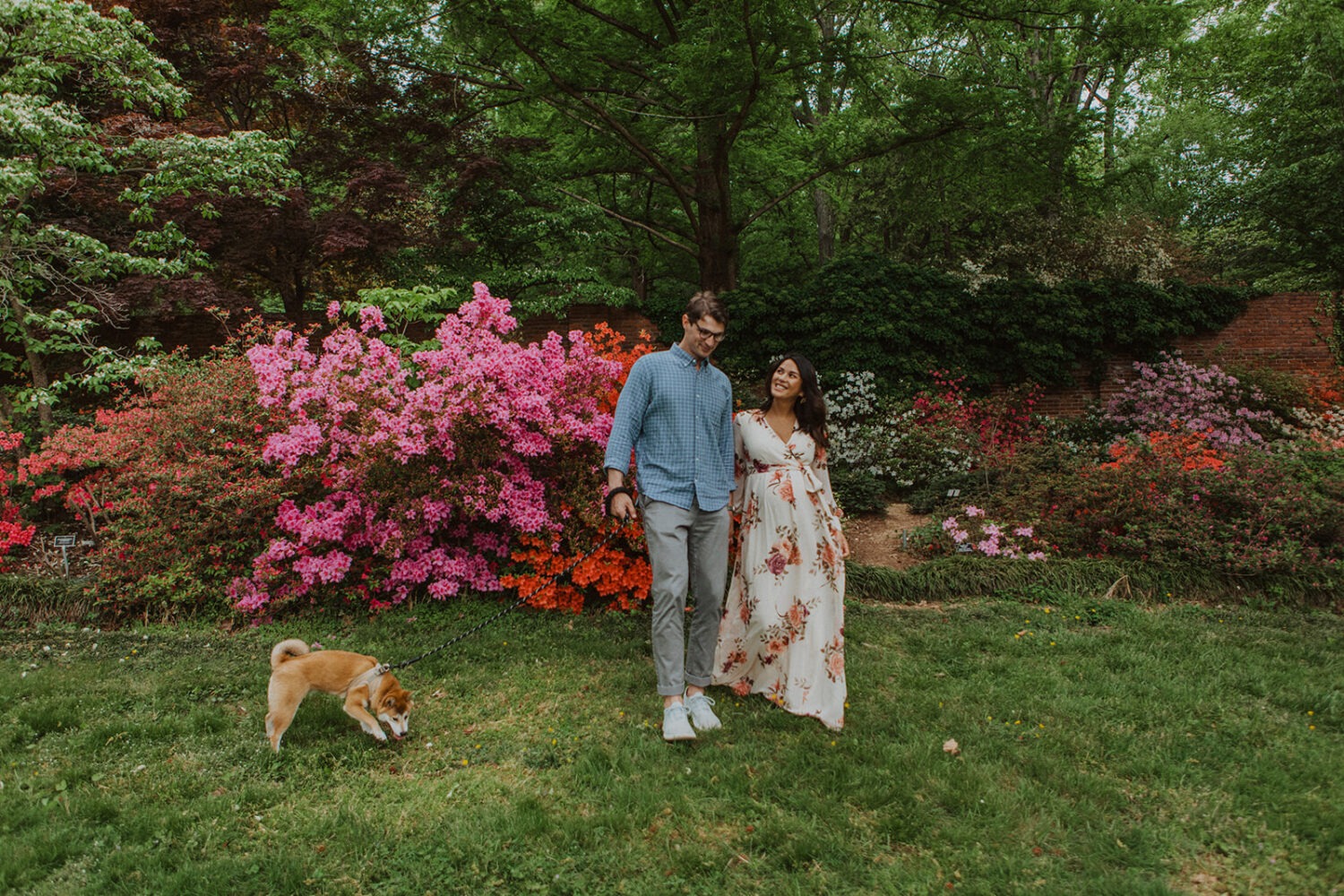 couple walks beside flowers at National Arboretum spring engagement photos