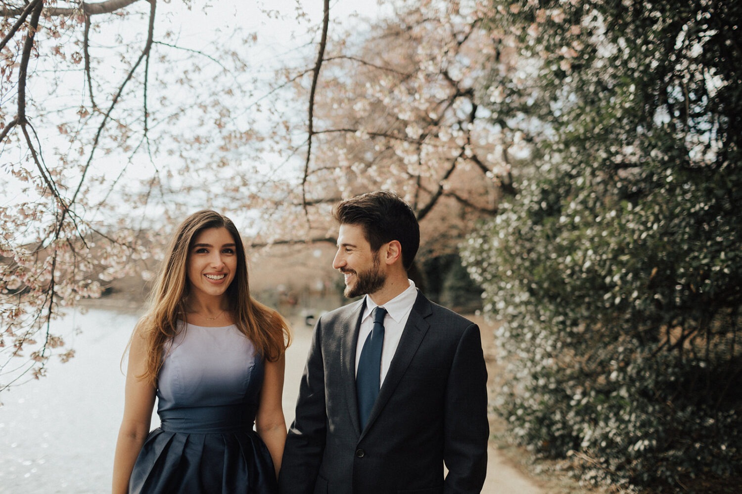 couple walks holding hands under cherry blossoms for DC spring engagement photos