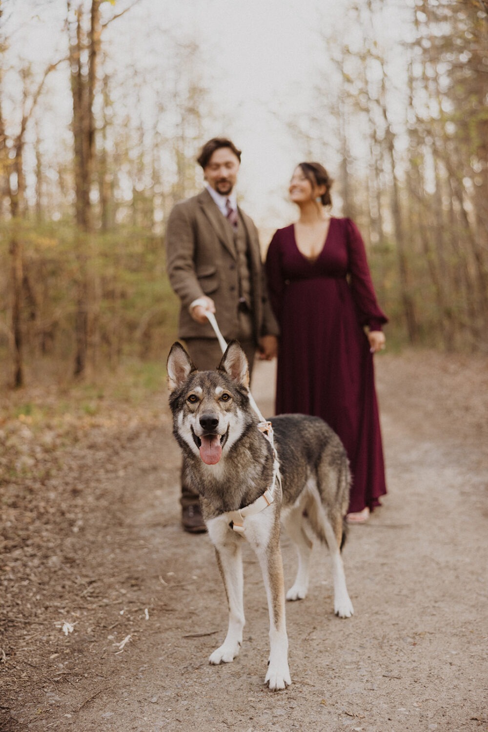 couple poses with dog at outdoor couples shoot