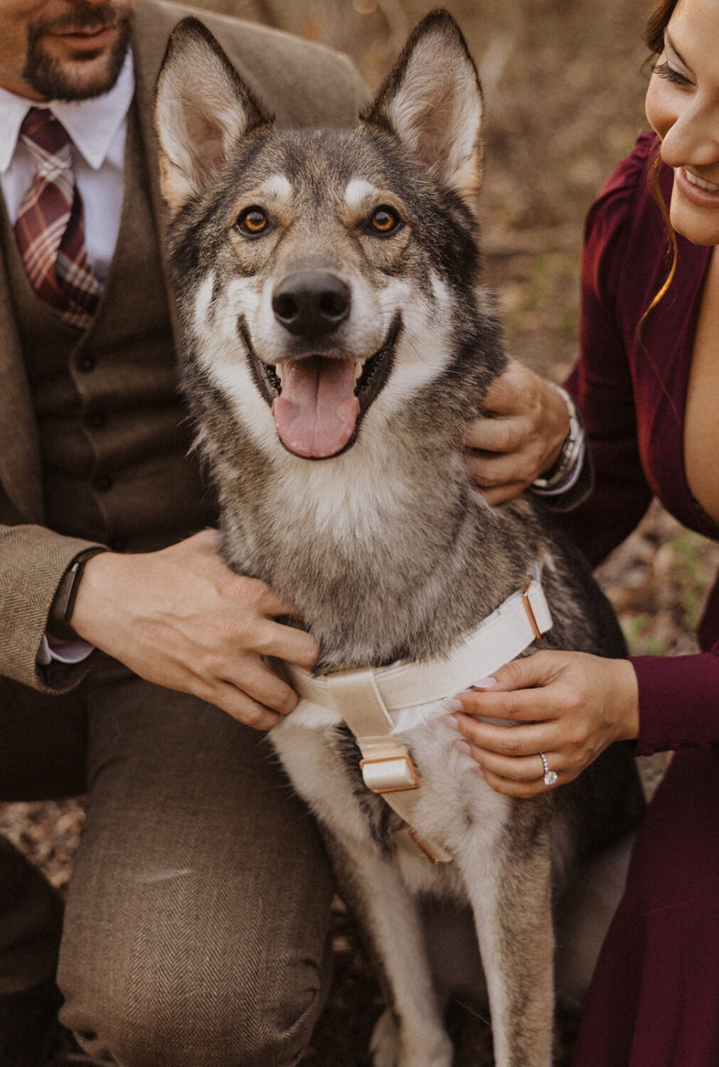 couple poses with dog at outdoor couples shoot