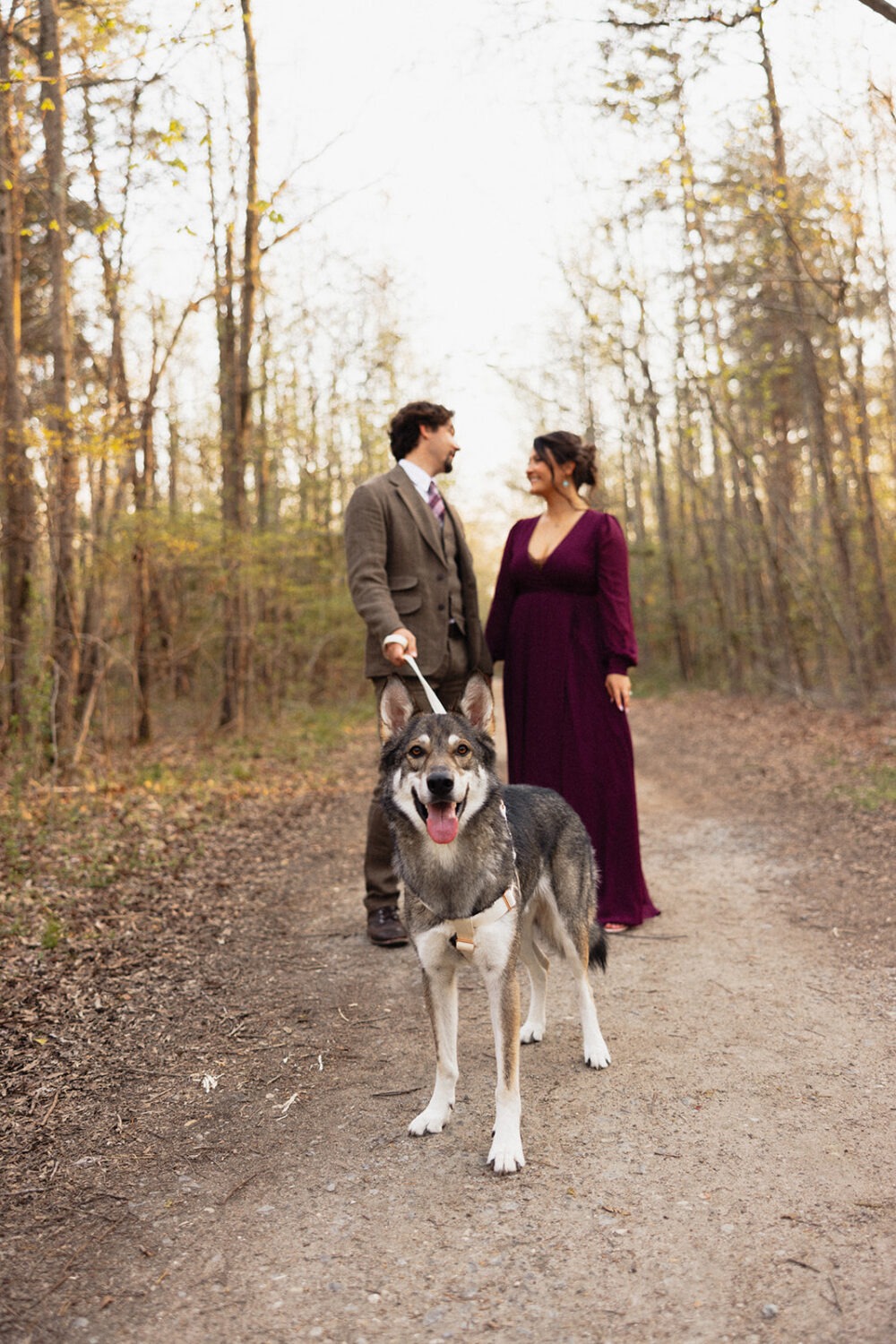 couple walks dog at woods engagement session