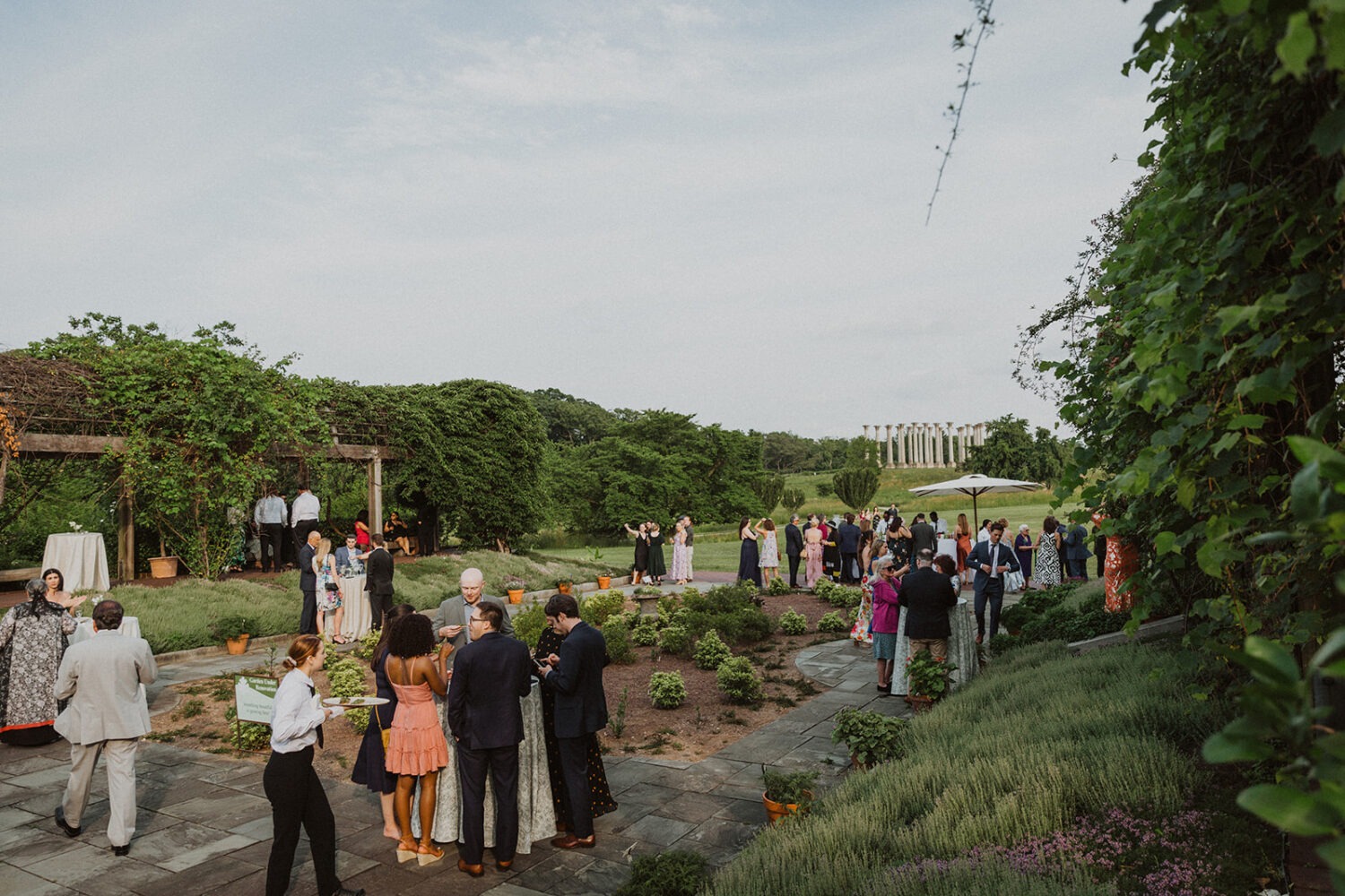 wedding guests mingle during cocktail hour in front of Capitol Columns at National Arboretum 