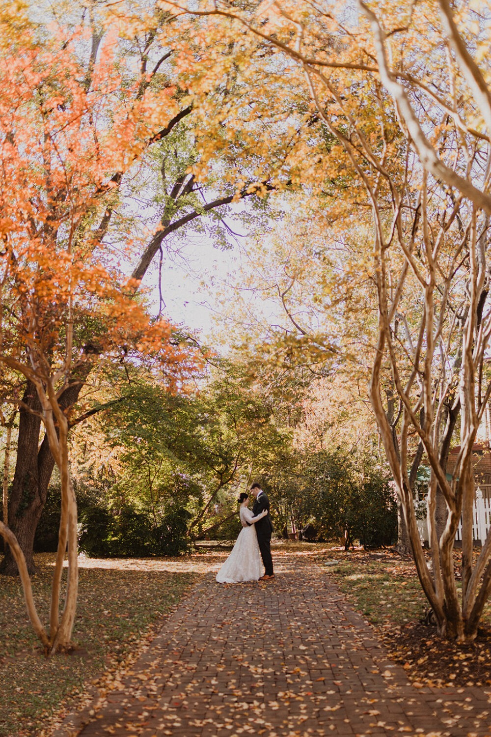 couple stands under fall trees at DC wedding