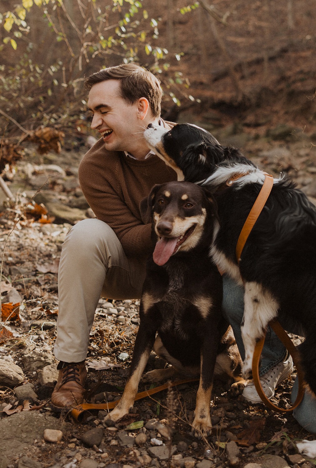 man poses with dogs at winter engagement photoshoot