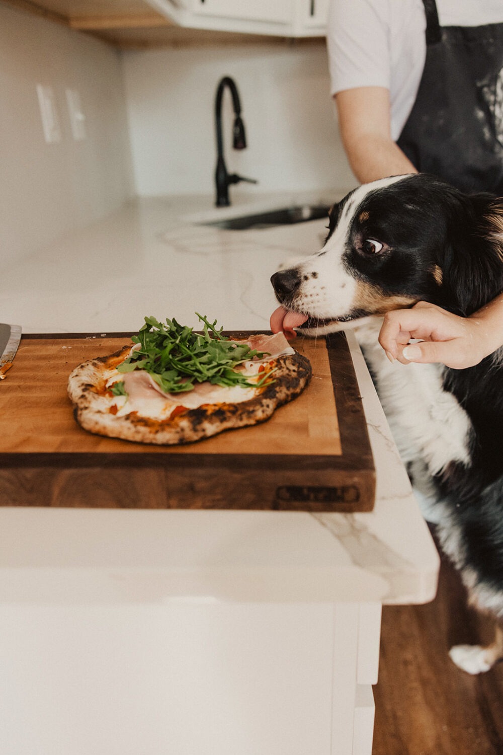 dog licks pizza at home engagement session