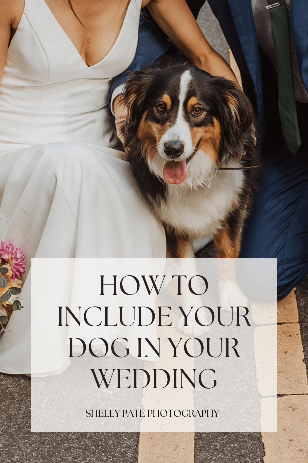 wedding ideas to include dogs