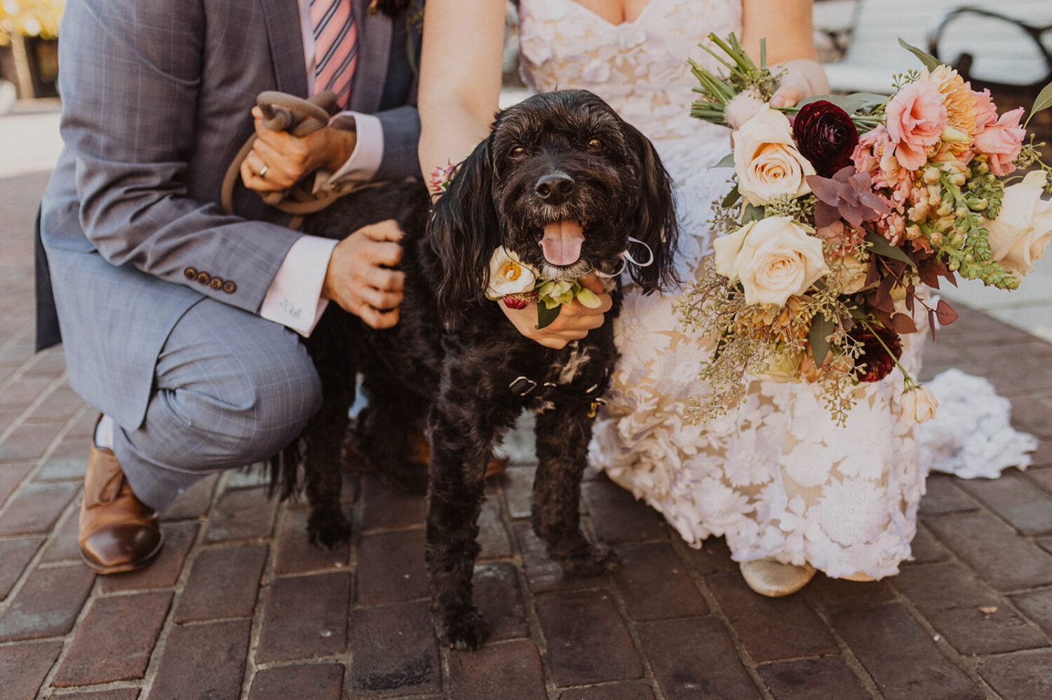 couple poses with their dog on their wedding day