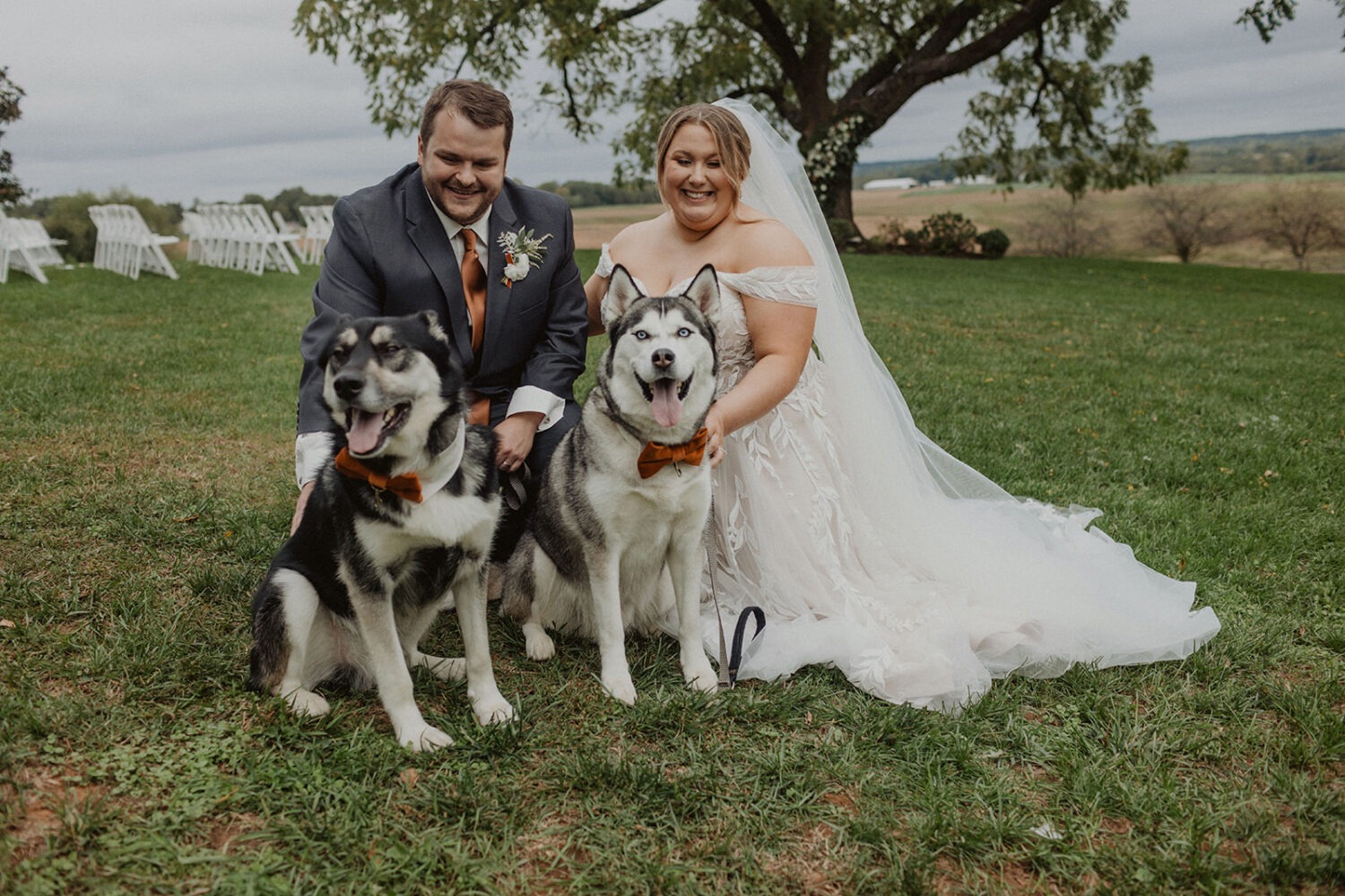 couple posing with their dogs on their wedding day