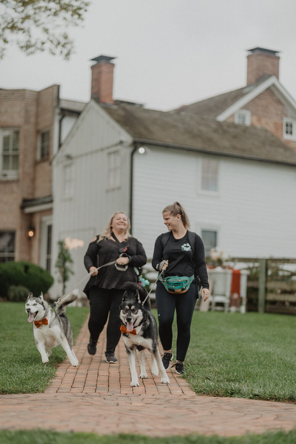 caretakers handling dogs before ceremony