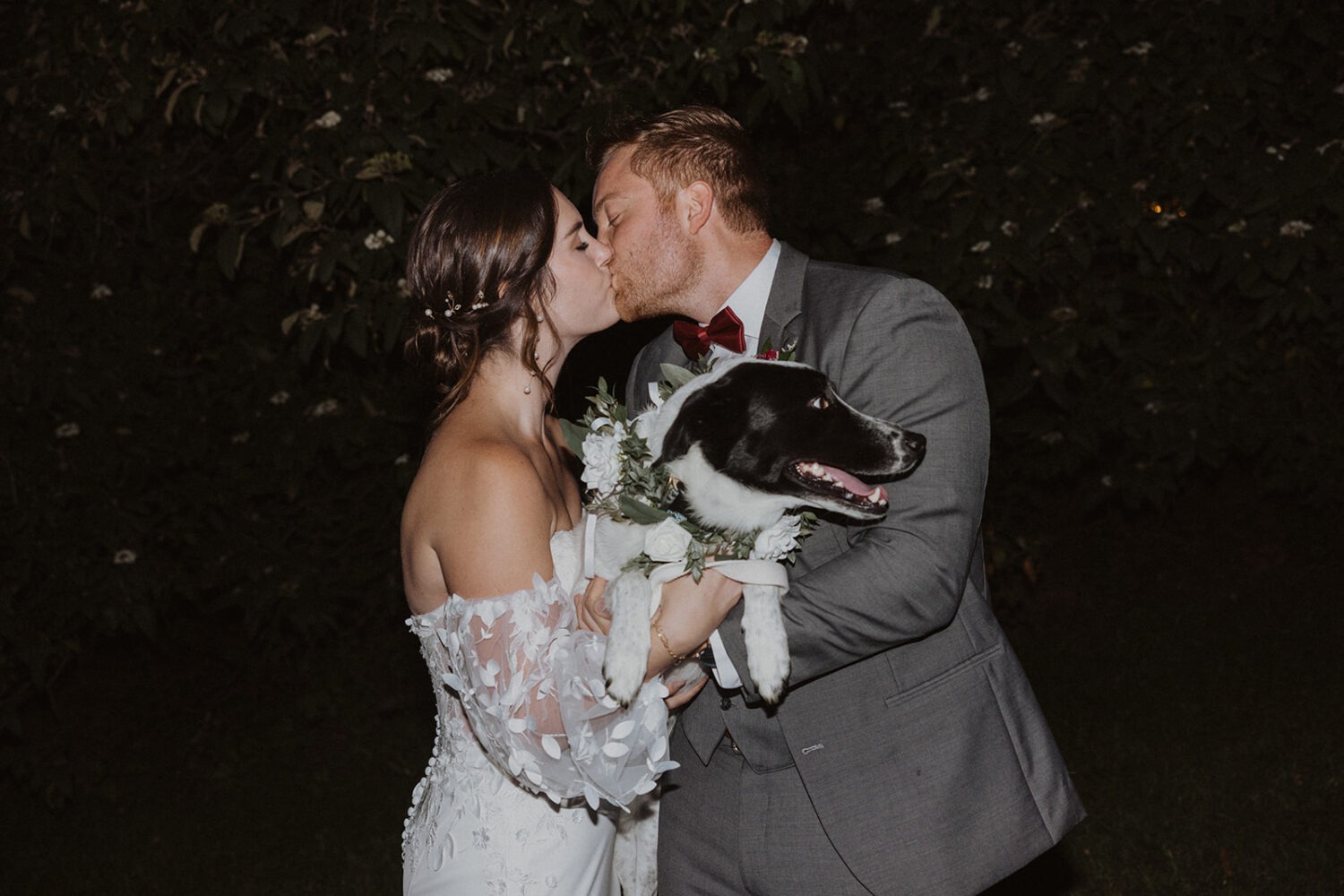 bride and groom kiss holding dog