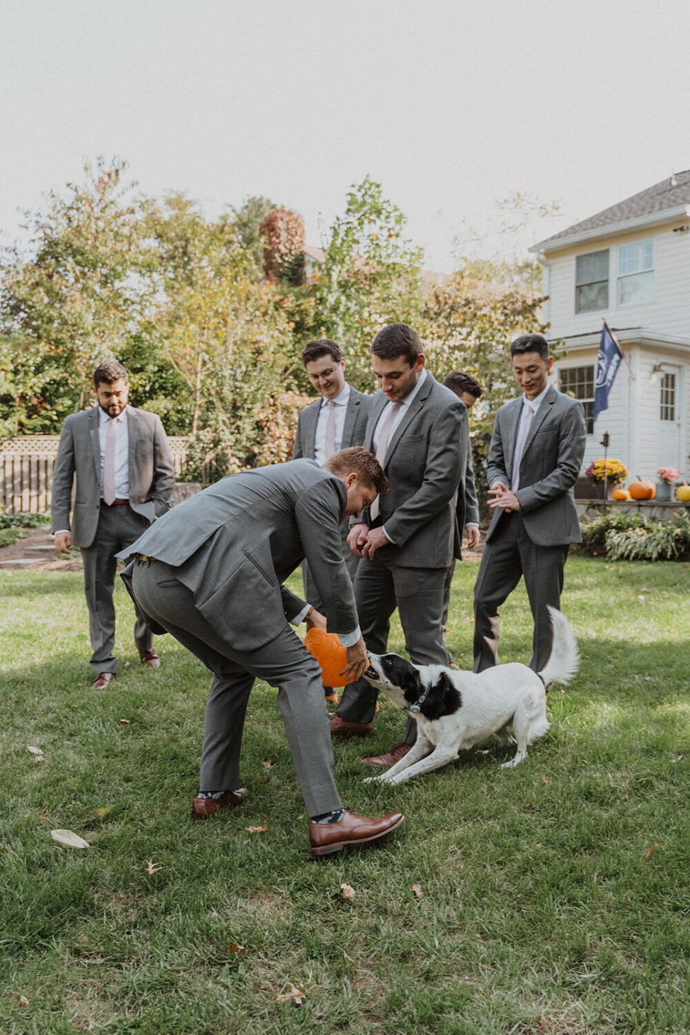 groomsmen play with dog before wedding ceremony