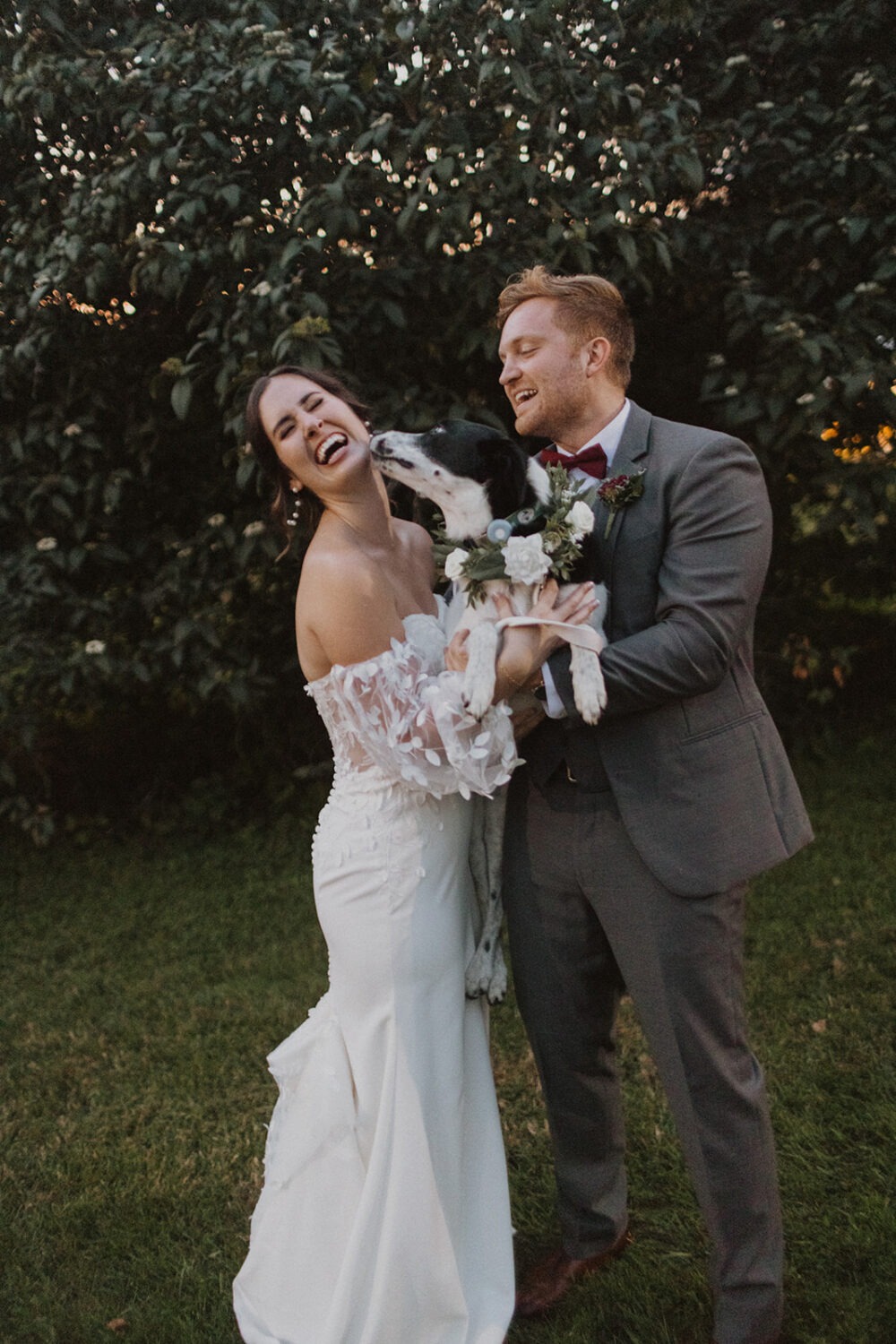 dog licking bride's face
