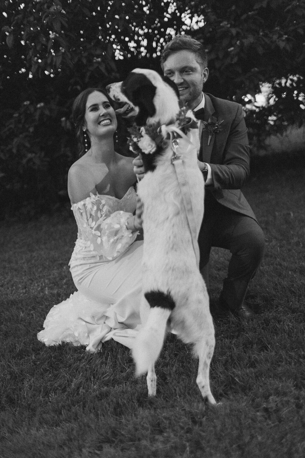couple poses with their dog on their wedding day