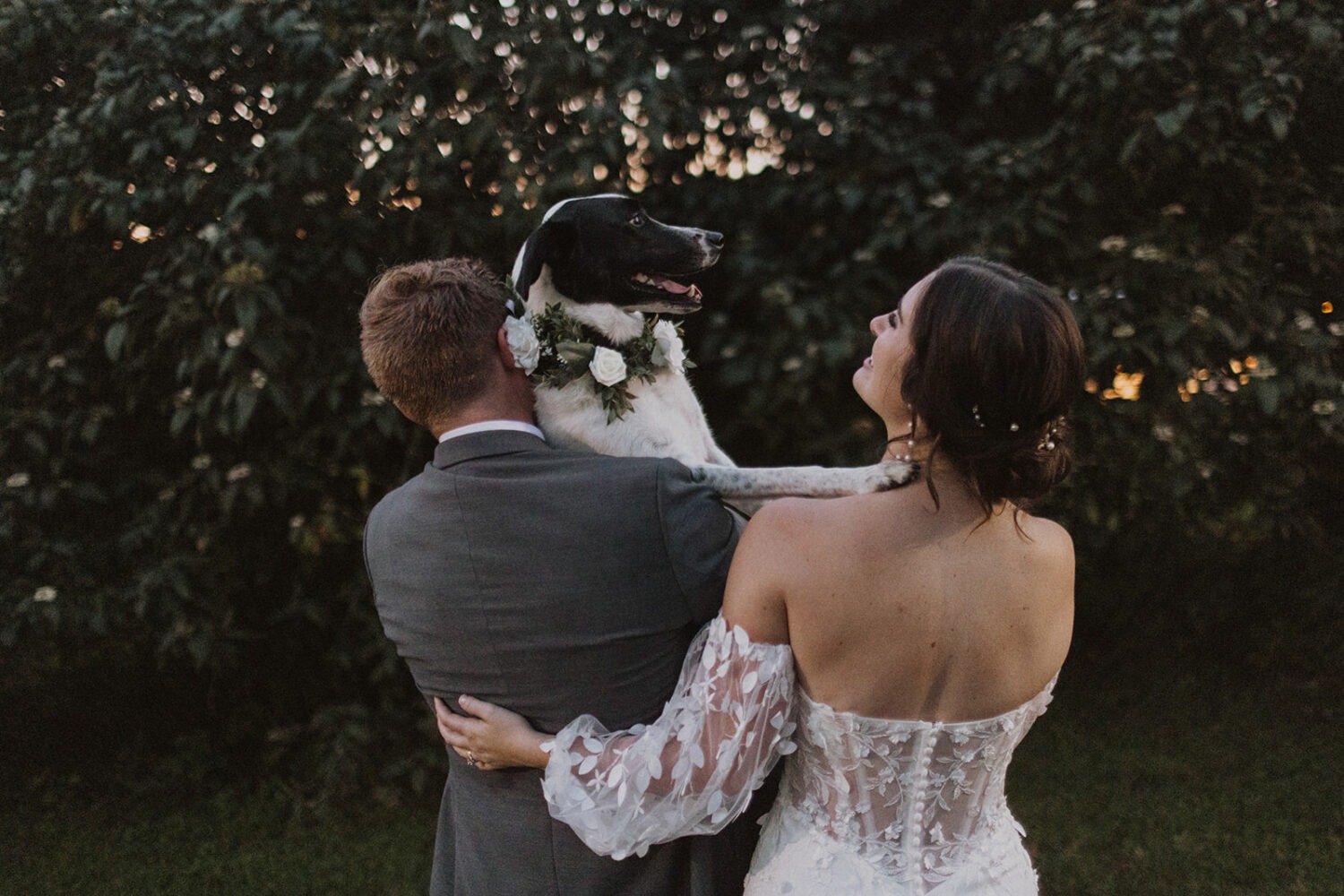 couple poses with their dog on their wedding day