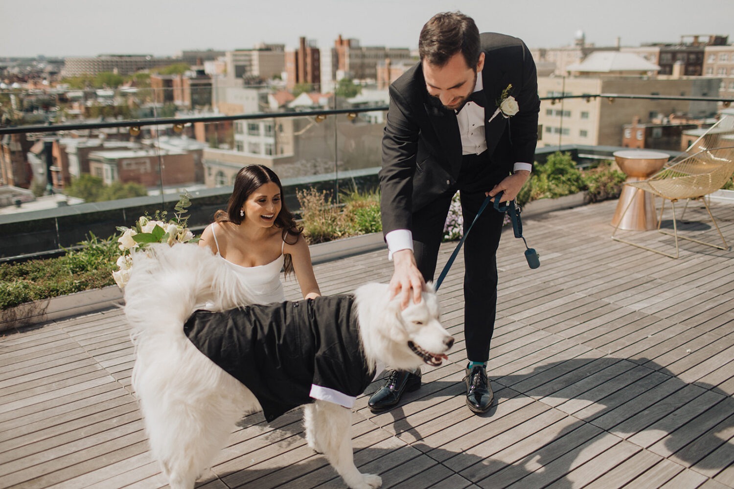 couple posing with their dog on their wedding day