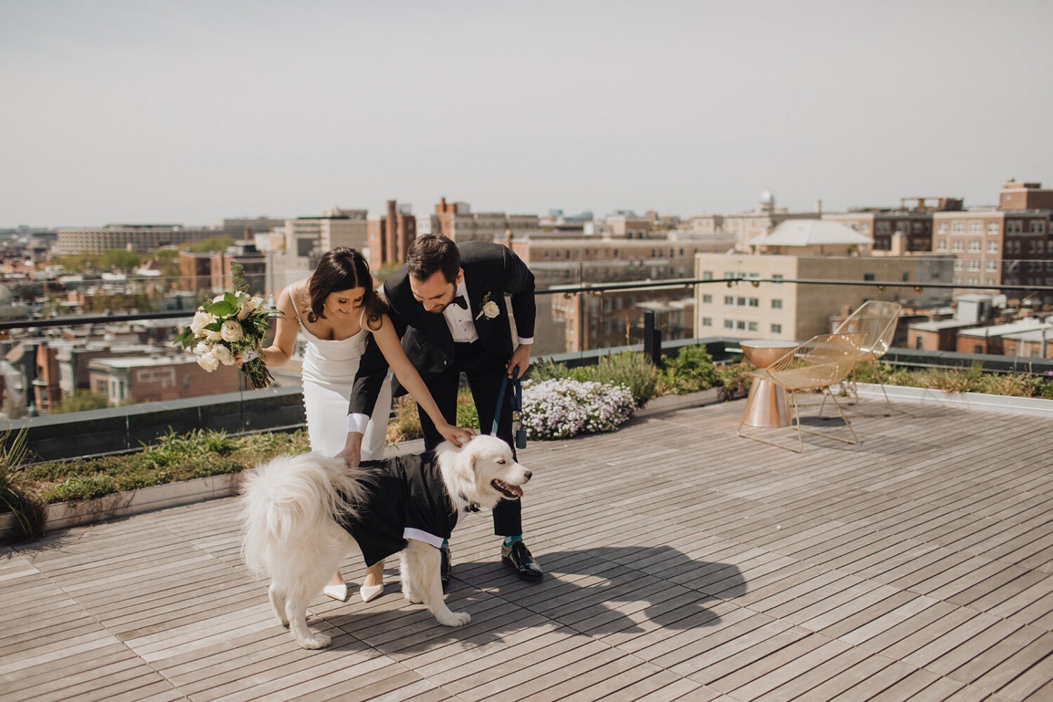 couple posing with their dog on their wedding day