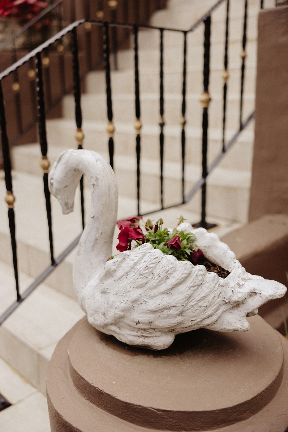 swan decor at Swann House DC
