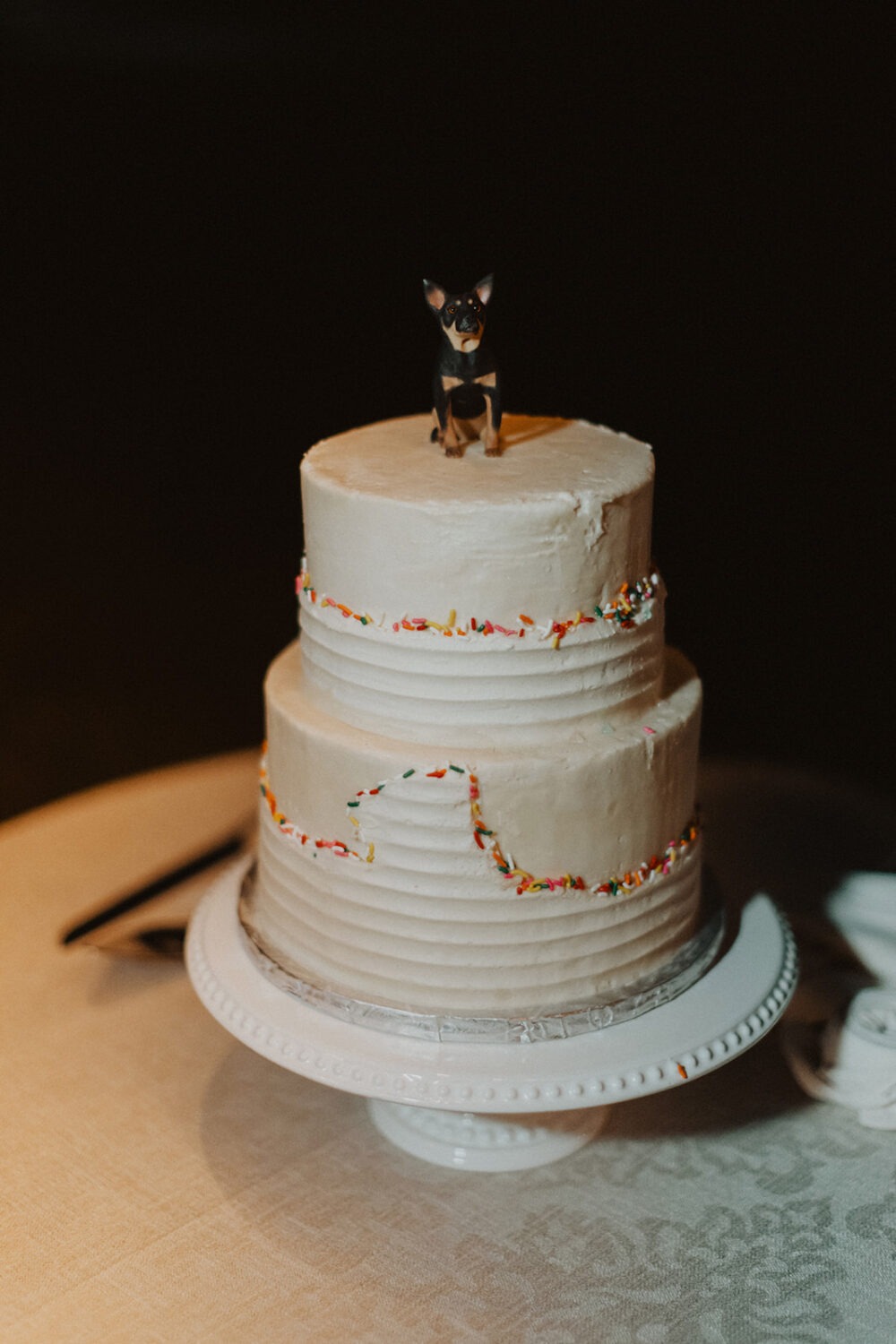 cake with dog topper