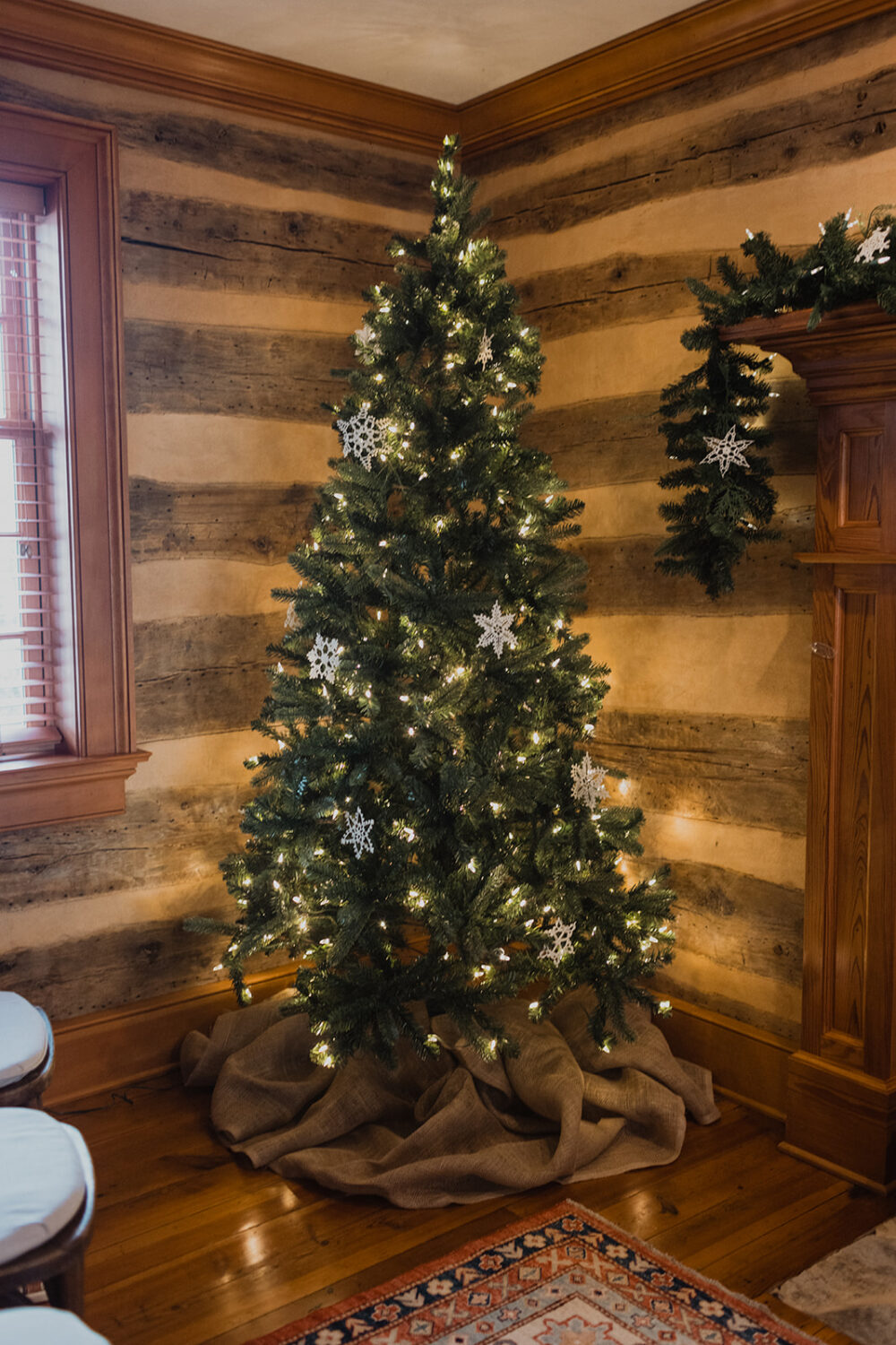 detail shot of Christmas tree 