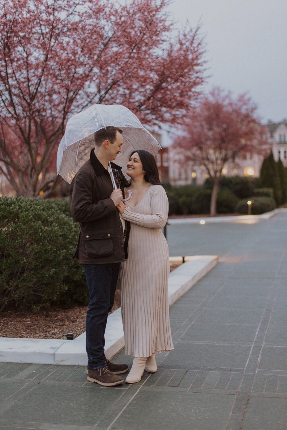 couple embrace under clear umbrella with pink flowering trees around them
