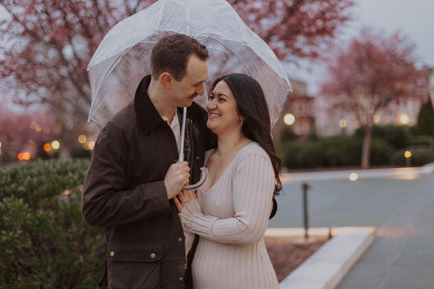 couple embrace under clear umbrella with pink flowering trees around them