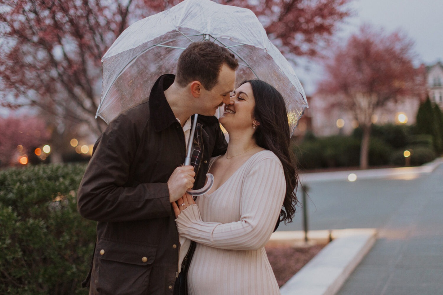 couple embrace under clear umbrella surrounded by pink flowering trees