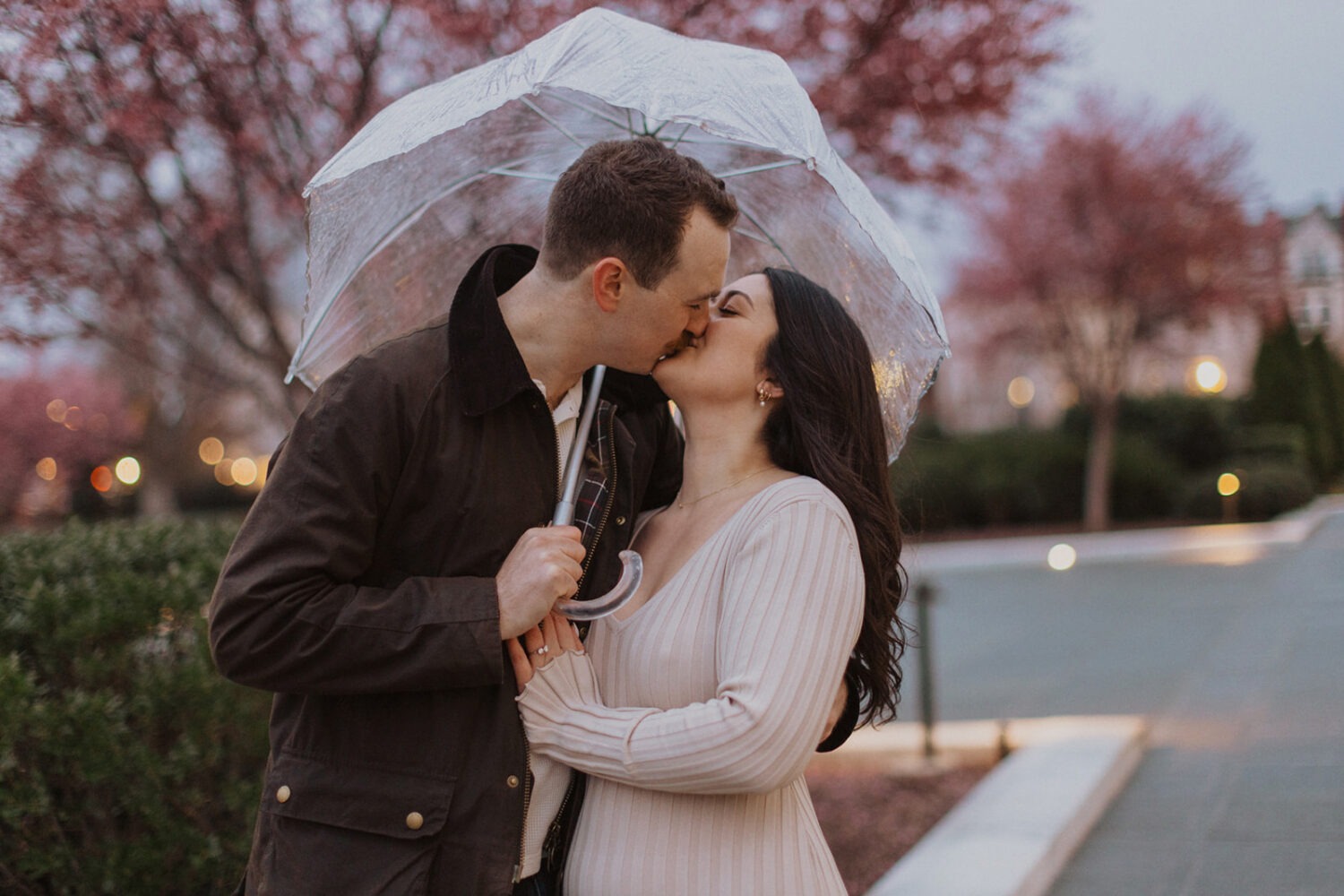couple embrace under clear umbrella with pink flowering trees around them