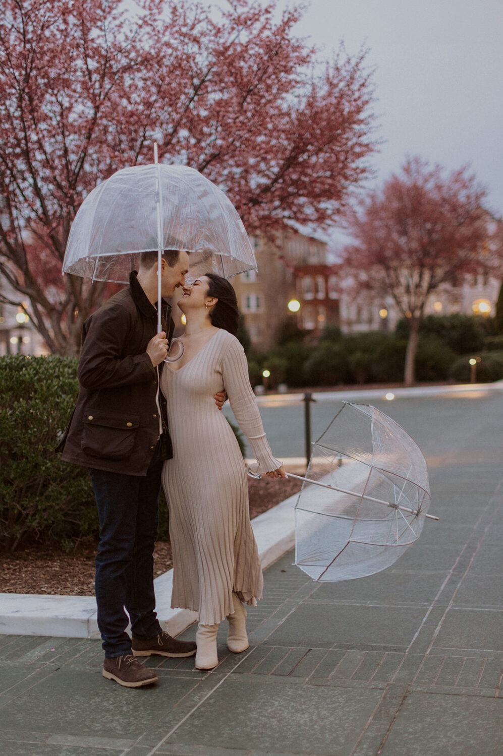couple embrace under clear umbrella with pink flowering trees around them