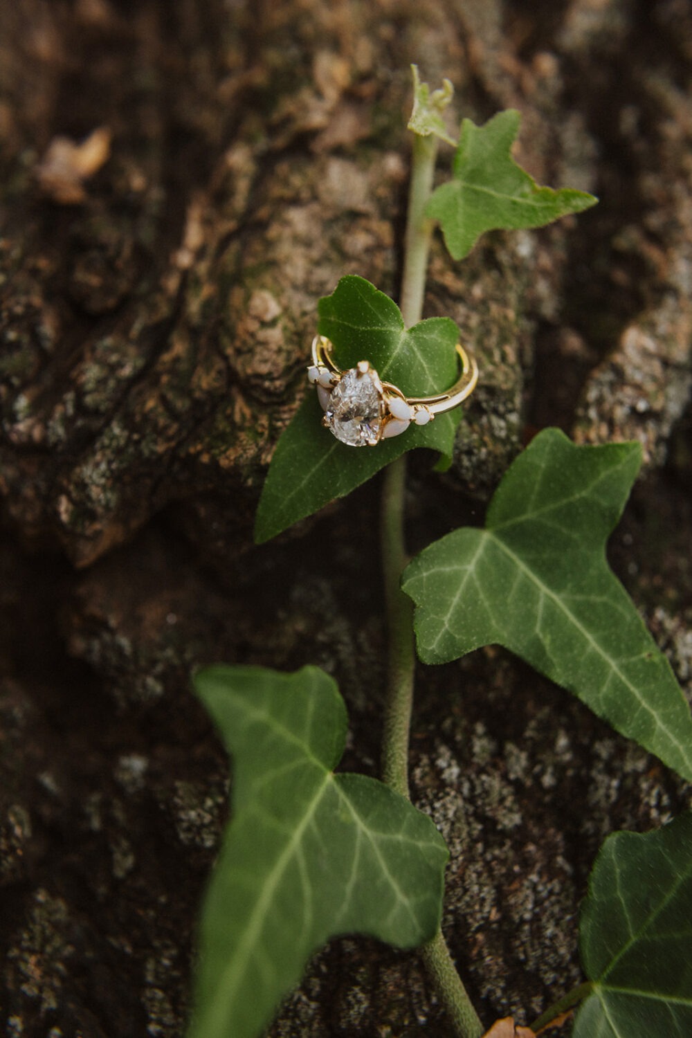 detail shot of engagement ring hung in the green vine