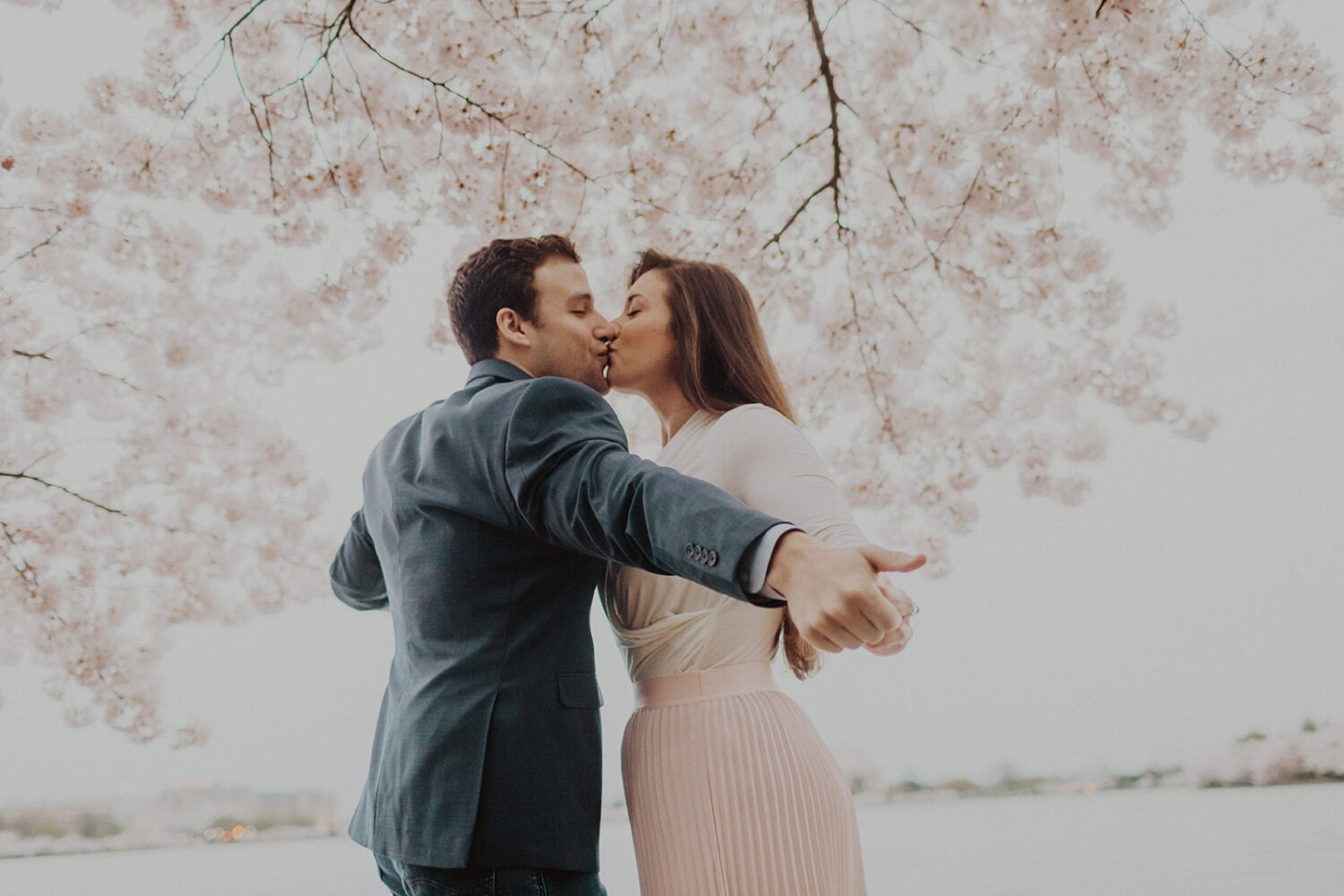 couple kiss surrounded by cherry blossoms