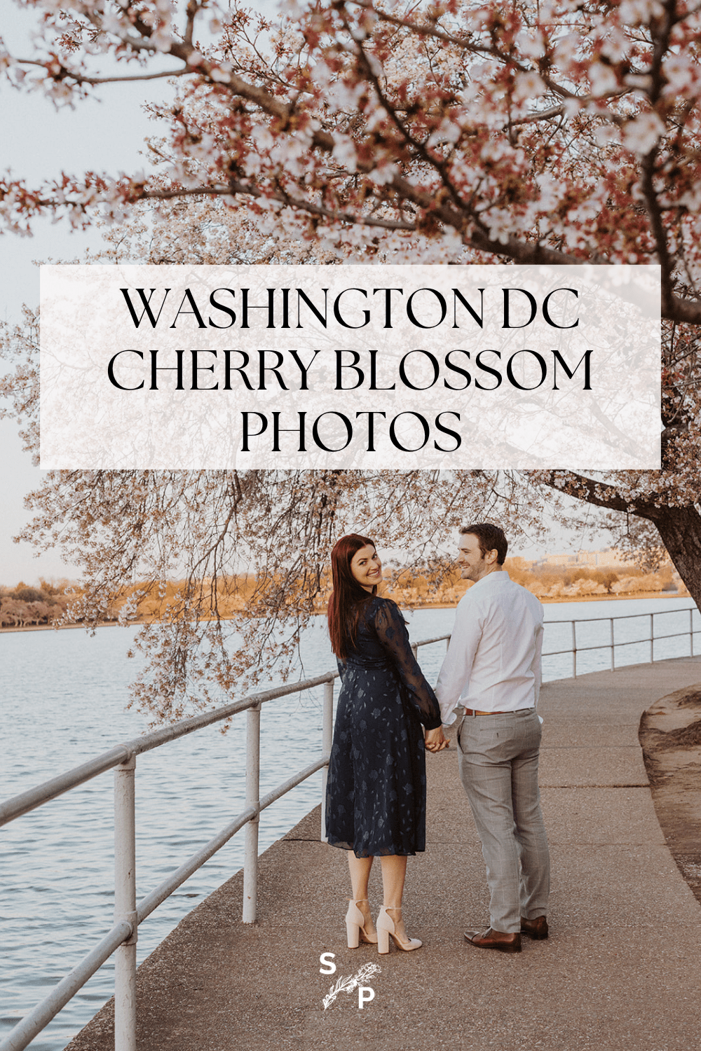 Washington DC Cherry blossom photos