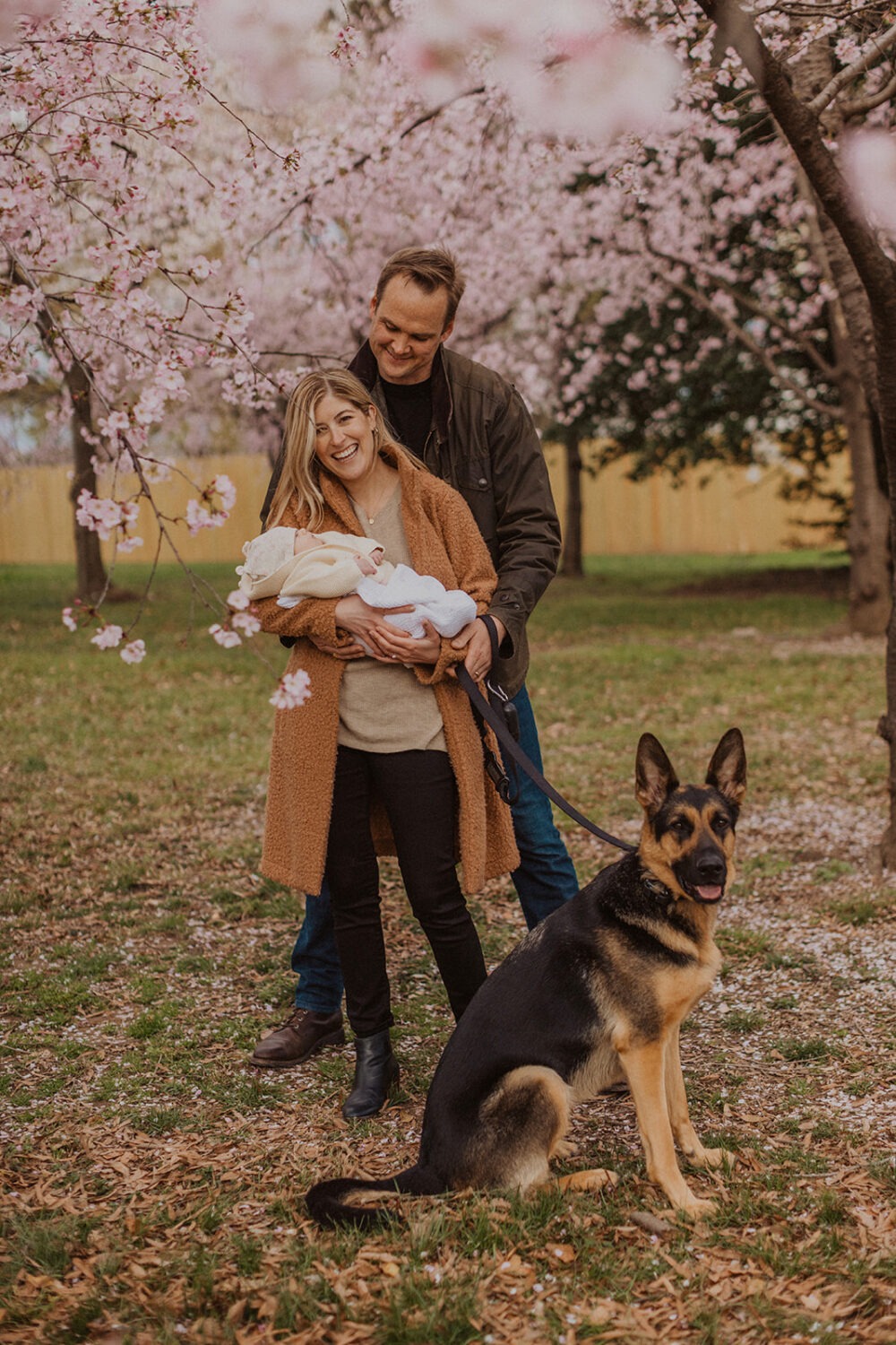 family pose with their dog while taking DC cherry blossom photos