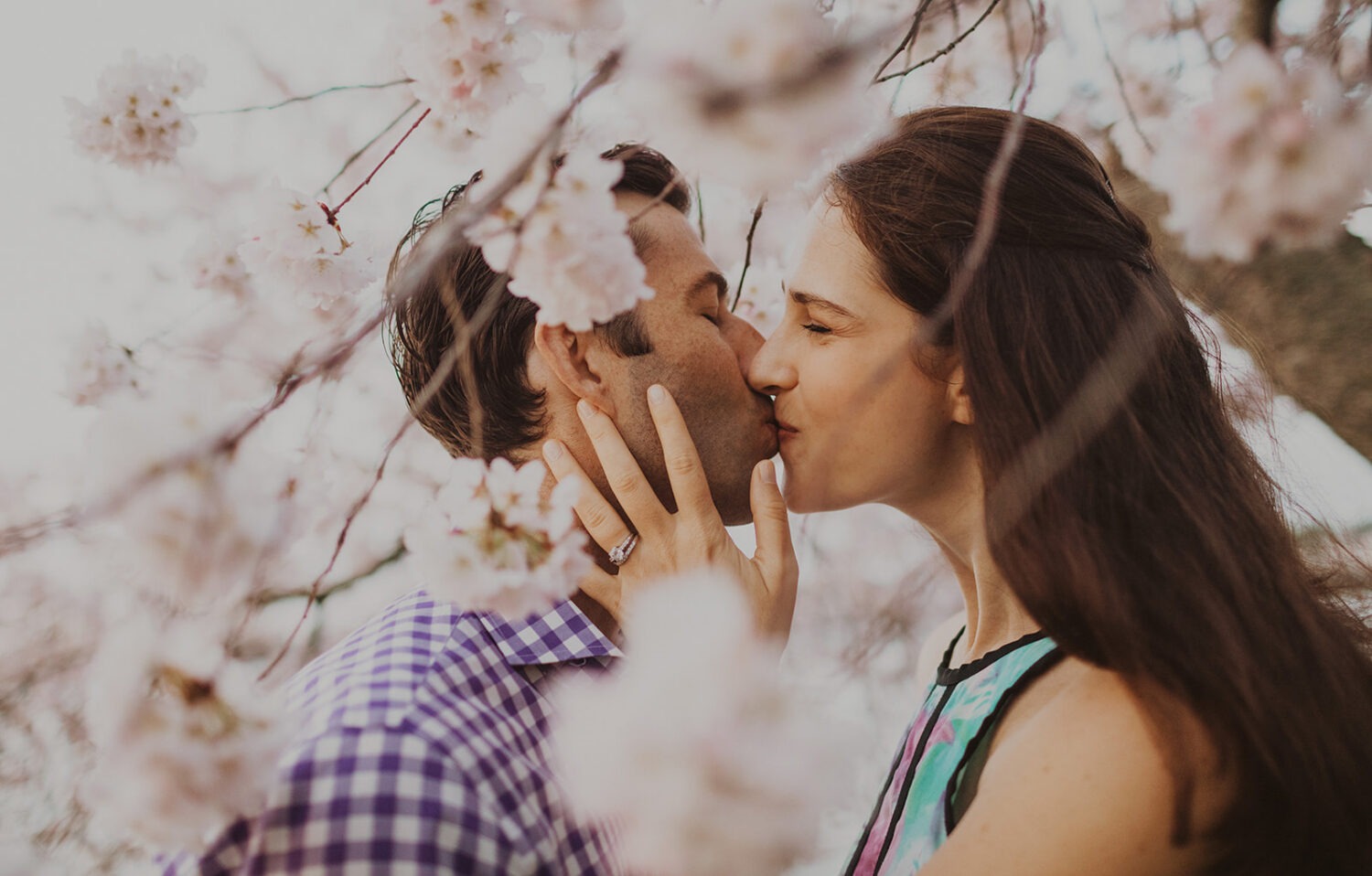 couple kiss surrounded by cherry blossoms
