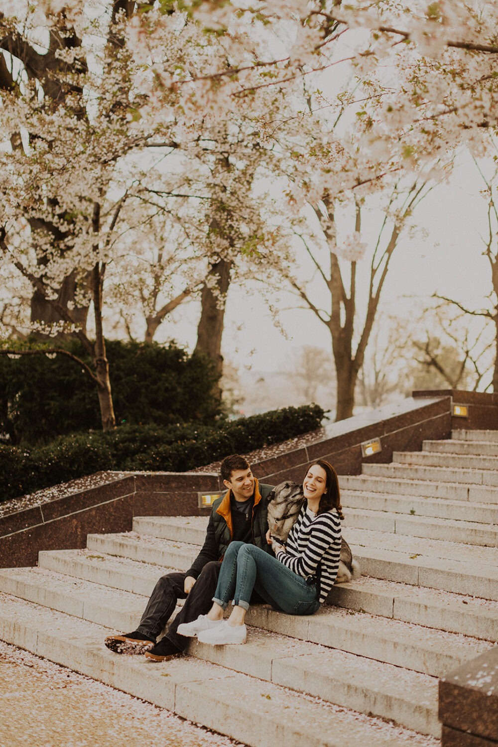 couple sitting on steps with their dog