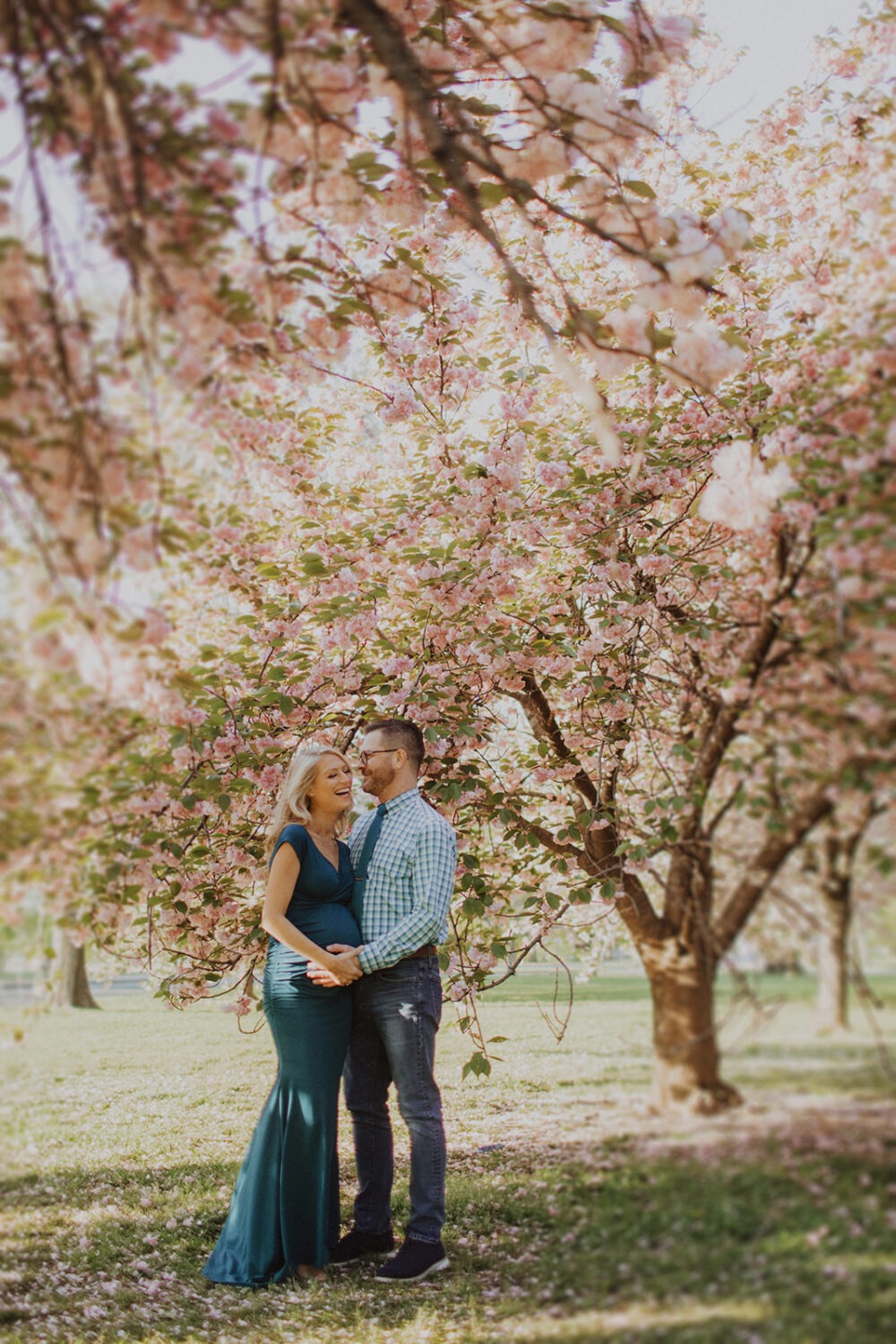 couple embrace while taking maternity photos in the middle of cherry blossom trees