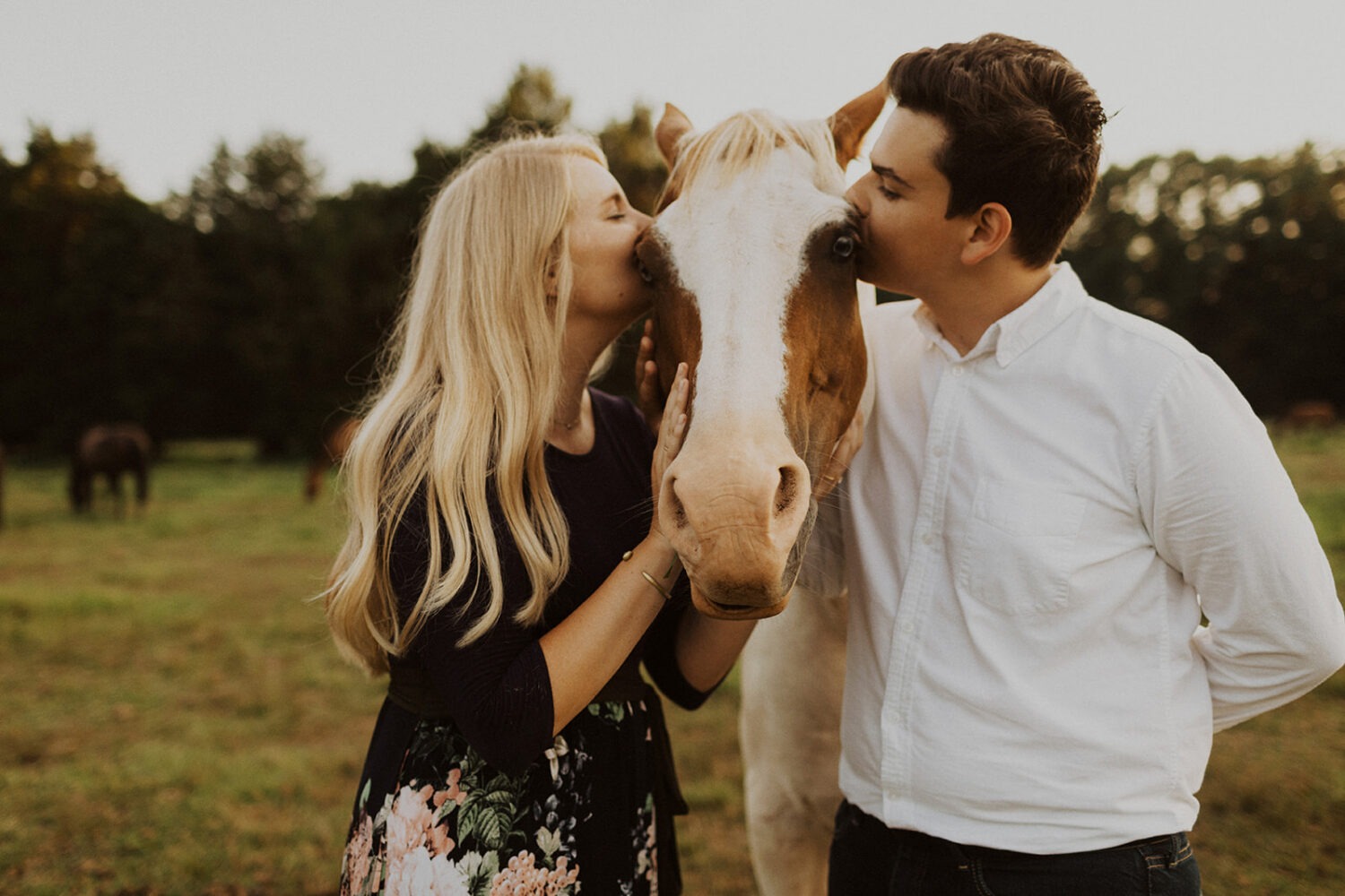 couple kiss horse together