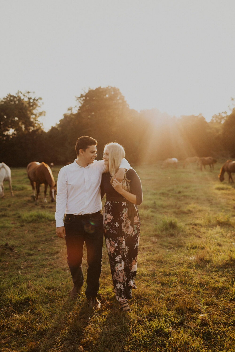couple walk together in a field of horses at sunset